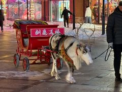 -王府井奥莱棋盘山小镇