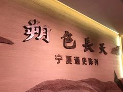 -宁夏博物馆