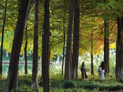 -西溪天堂·悦居