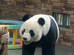-东莞香市动物园