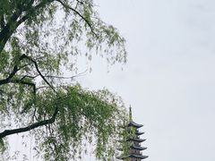 -上海方塔园