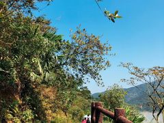 -羚羊峡古栈道森林公园