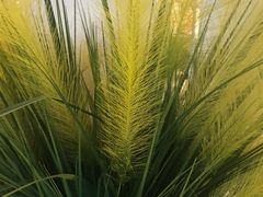 -长春宾馆·丽豪浴都