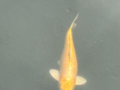 -合肥野生动物园