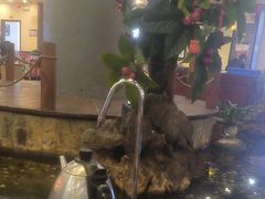 -丰圆轩粤式茶楼 . 点心粤菜(夏茅店)