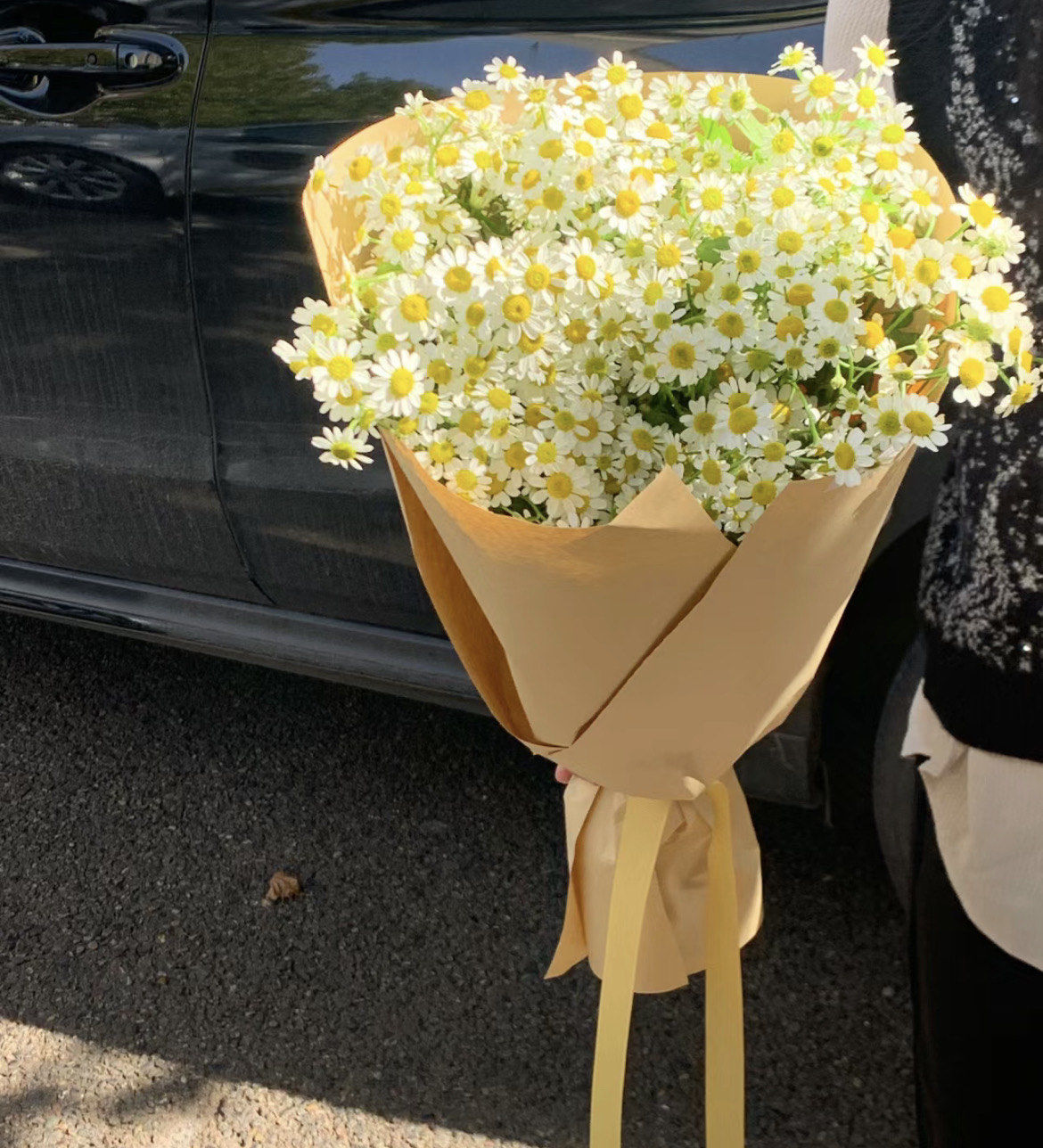 春日小雏菊花束,清新脱俗,充满生机.花材