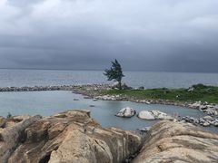 -放鸡岛生态旅游国际度假区