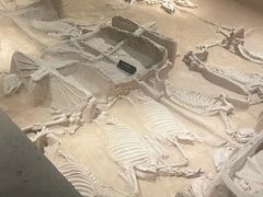 -洛阳周王城天子驾六博物馆