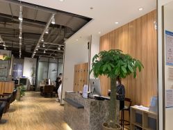 -Mentor Hair Salon