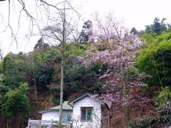 -莫干山风景区