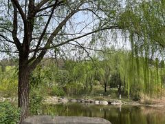 -鹦鹉寺公园