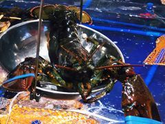 -79号渔船海鲜饭店(华强北店)