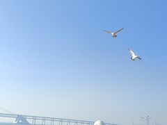 -日本风情街