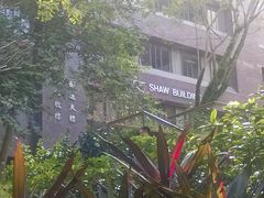 -香港大学