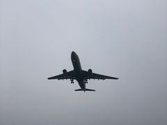 -空港花田景区