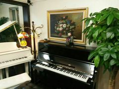 -圣典成人钢琴俱乐部(国贸旗舰校区)