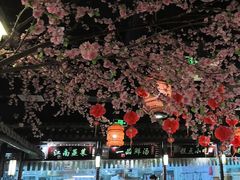 -卢大鲜鱼头捞饭(美利广场店)