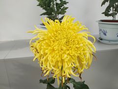 -共青国家森林公园-售票处