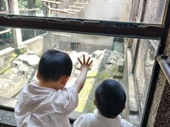 -昆明动物园
