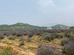 -西海岸生态观光园