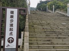 -铁山坪森林公园