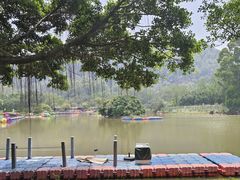 -南沙蒲洲花园