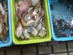 -老字号蛇口德记烧腊饭店·海鲜加工