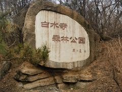 -白水寺森林公园