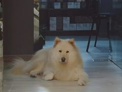 -肆兮眼镜·蔡司·徕卡战略合作店(大坪店)