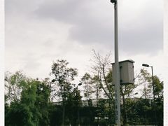 -张坝桂圆林公园