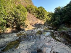 -广州白江湖森林公园