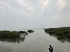 -北海金海湾红树林生态旅游区