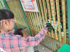 -同里湖度假村(二期店)