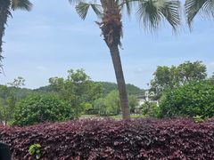 -明月山天沐温泉度假村