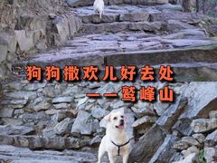 -北京鹫峰国家森林公园