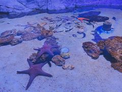 -多彩贵州城极地海洋世界