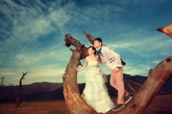 -费拉摄影(天廊T66店)