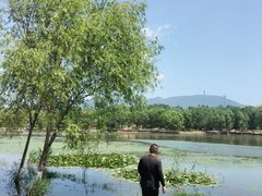 -门城湖公园
