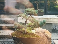-元古雲境(太古里店)