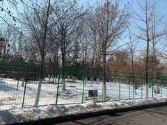 -长白岛森林公园