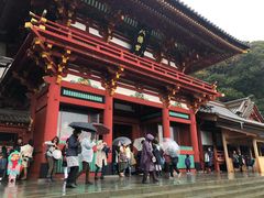 -镰仓 峰本(八幡宫前本店)