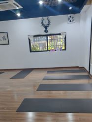 -兴亚瑜伽20年老馆