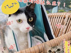 -星巴克臻选(广州二沙岛文立方店)