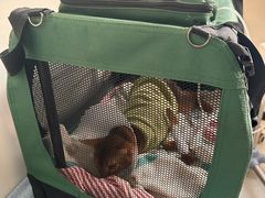 -美联众合动物医院·24h京西诊疗中心
