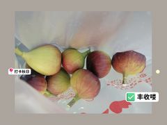 -菊园百果园