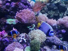 -成都浩海立方海洋公园