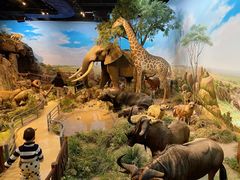 -陕西自然博物馆