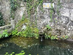-韬光茶庵