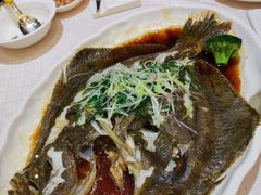 清蒸多宝鱼-北海渔村酒楼·粤菜海鲜点心(新华店)