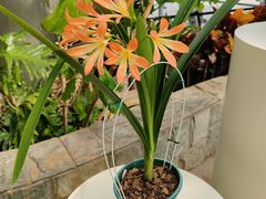 -北京植物园-展览温室